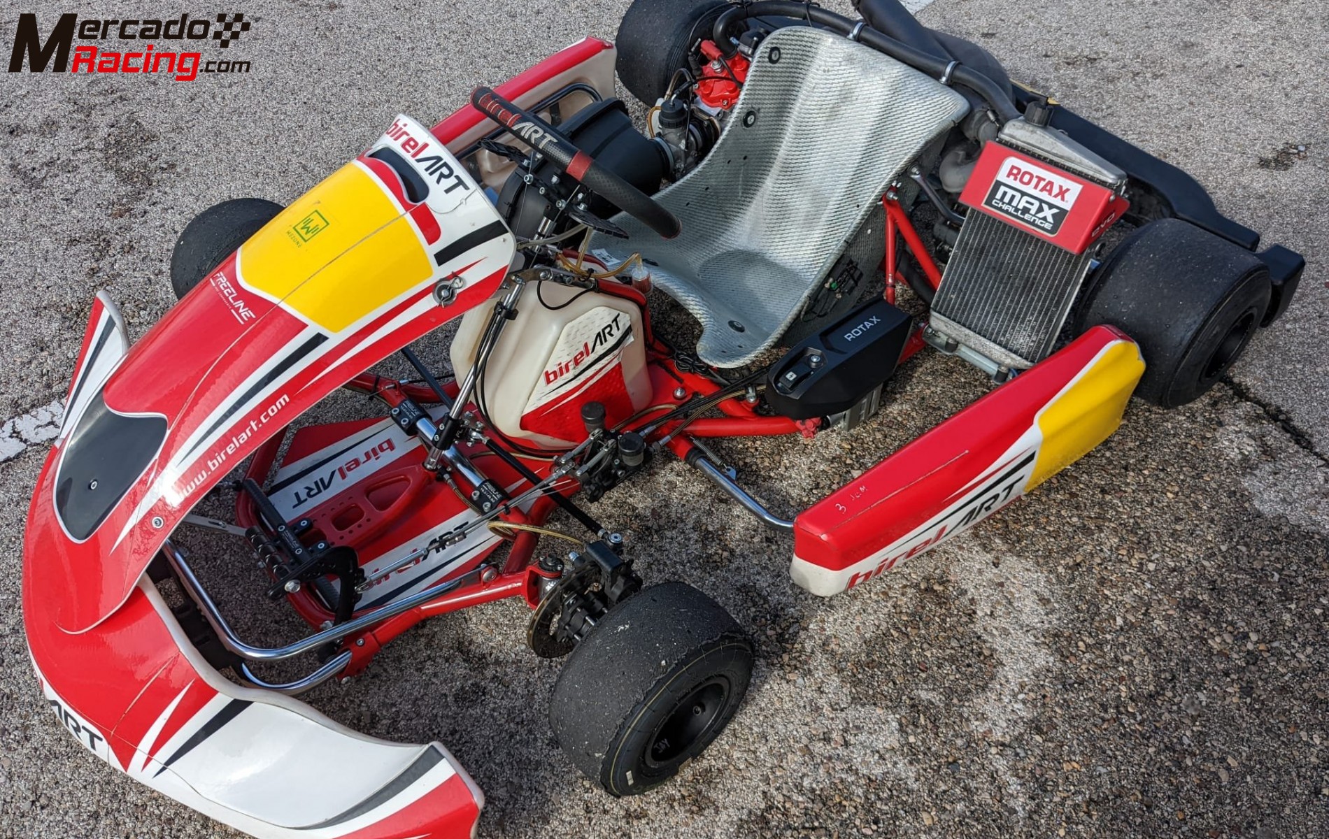 Rotax 125 dd2 birelart 2024 