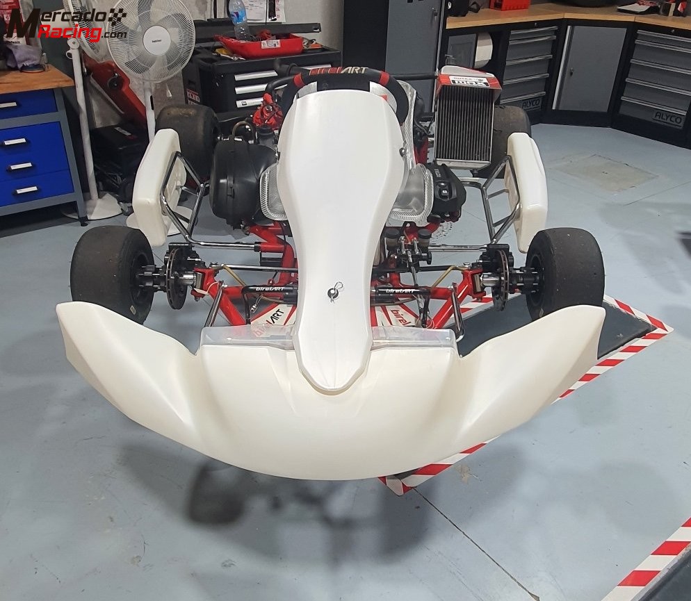 Kart birelart