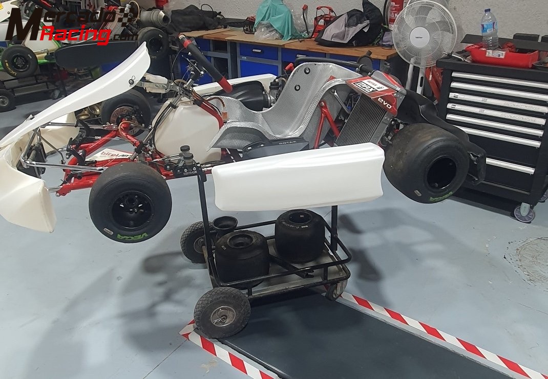 Kart birelart