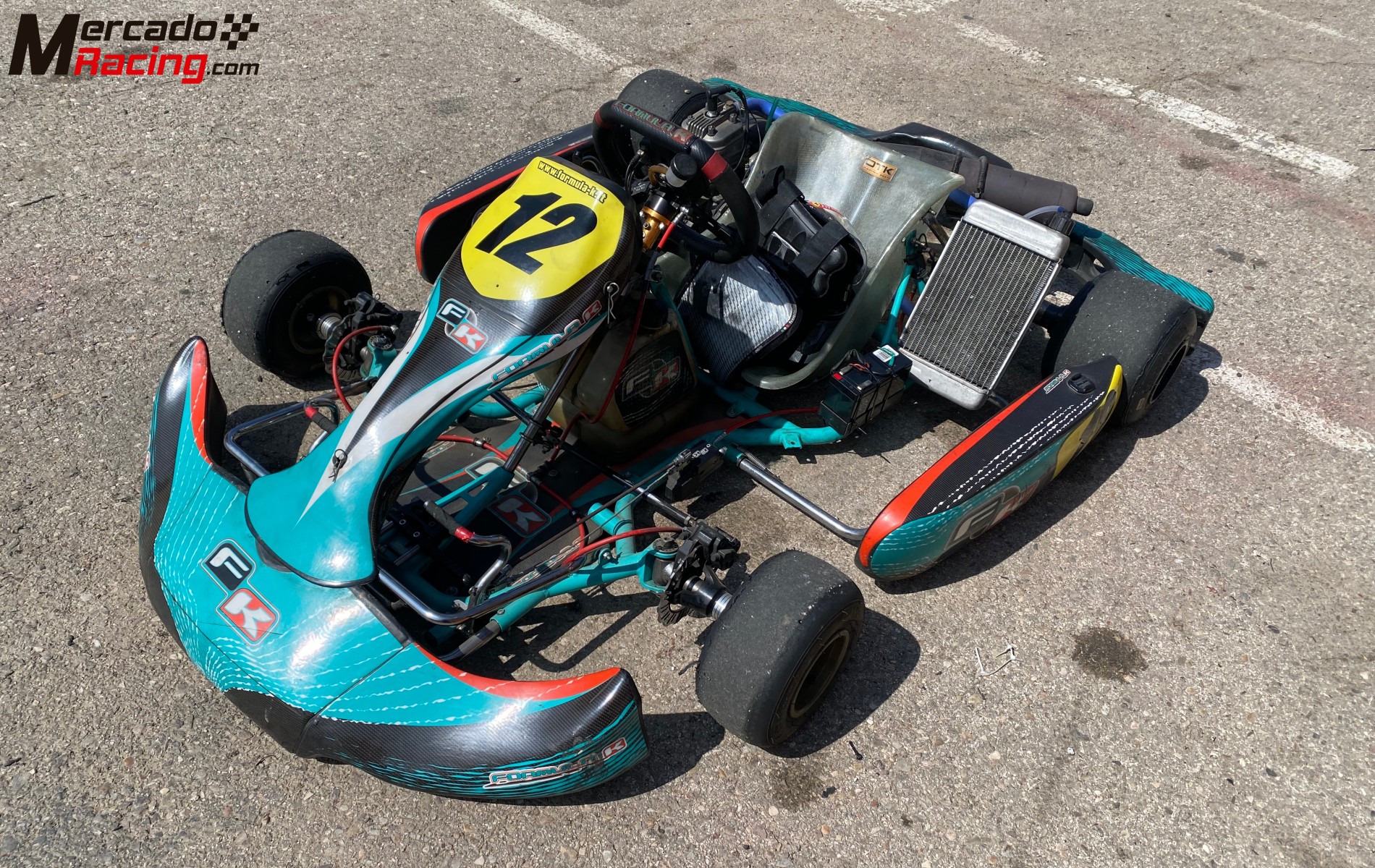 Kart 125 motor iame x30