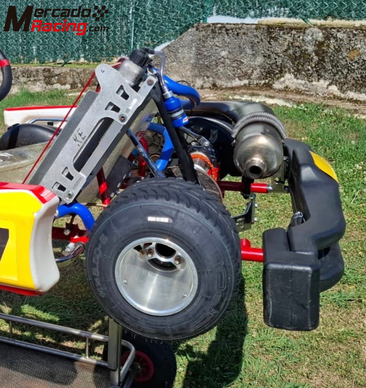 Lote:kart birel art,mychron 5s,sondas ,accesorios