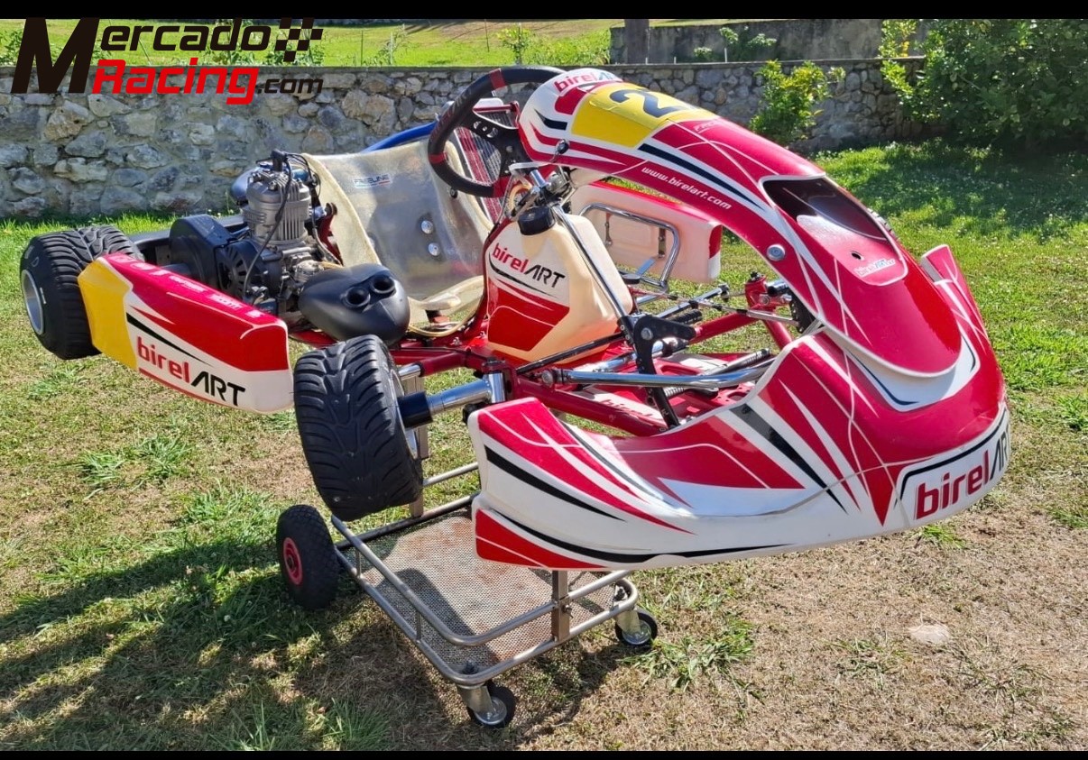 Lote:kart birel art,mychron 5s,sondas ,accesorios