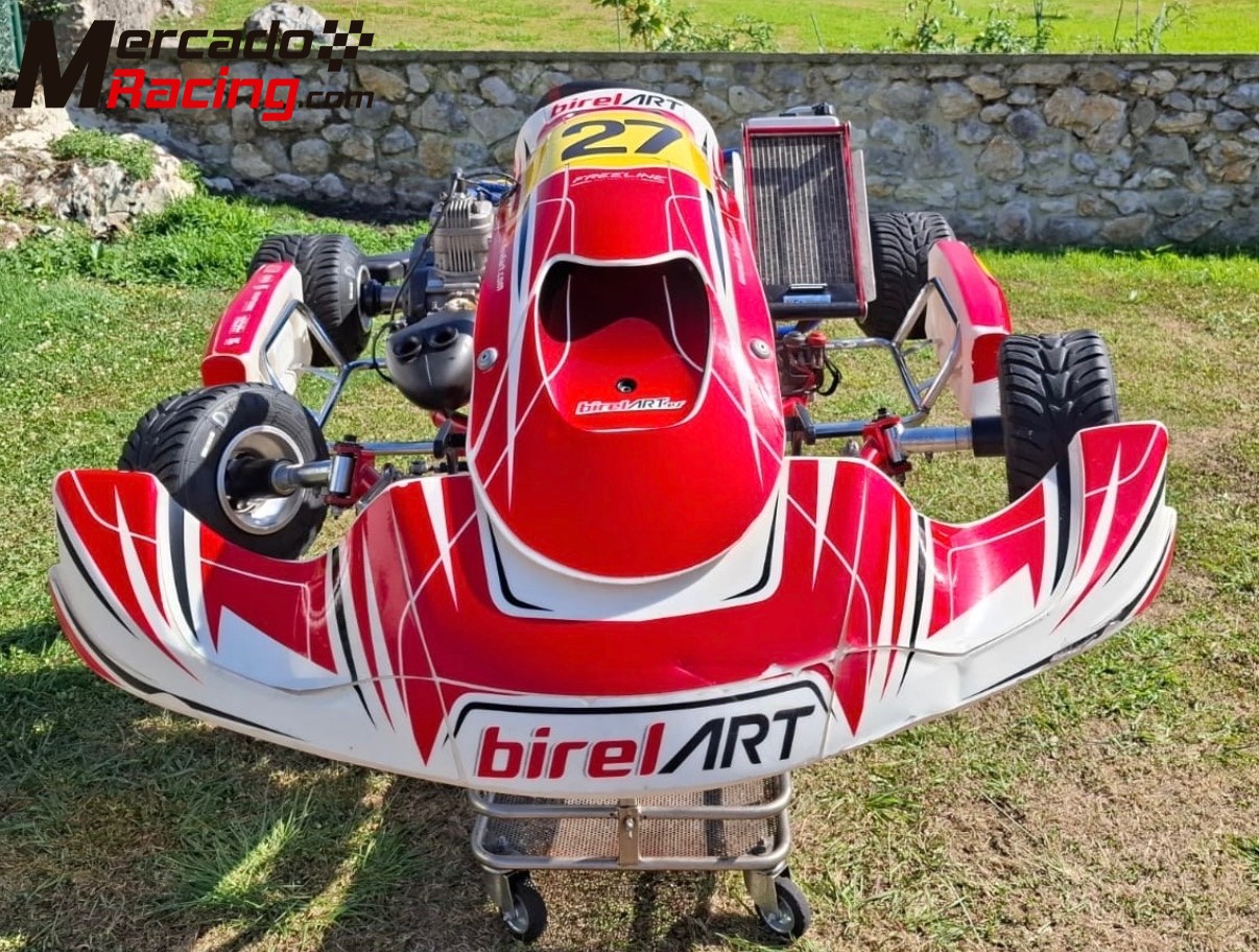 Lote:kart birel art,mychron 5s,sondas ,accesorios