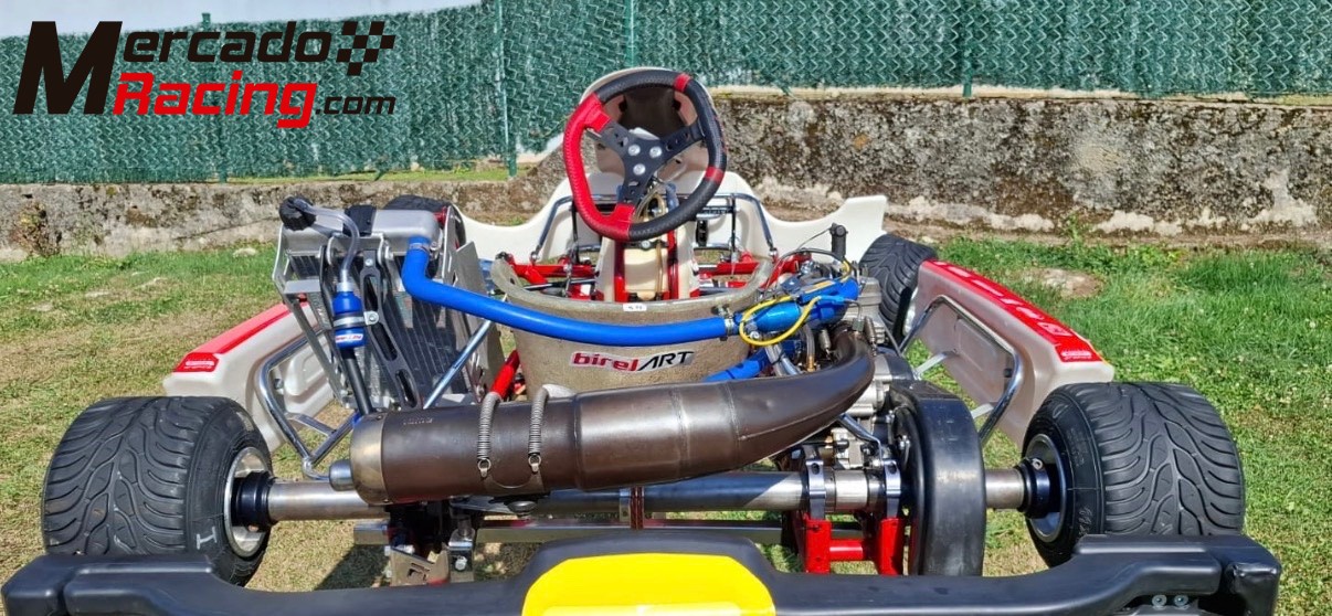 Lote:kart birel art,mychron 5s,sondas ,accesorios