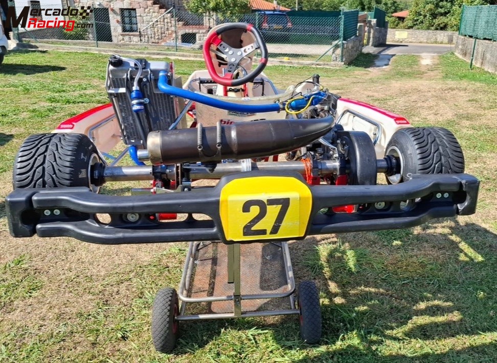 Lote:kart birel art,mychron 5s,sondas ,accesorios