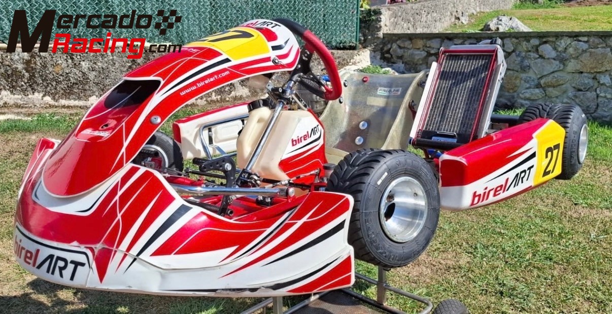 Lote:kart birel art,mychron 5s,sondas ,accesorios