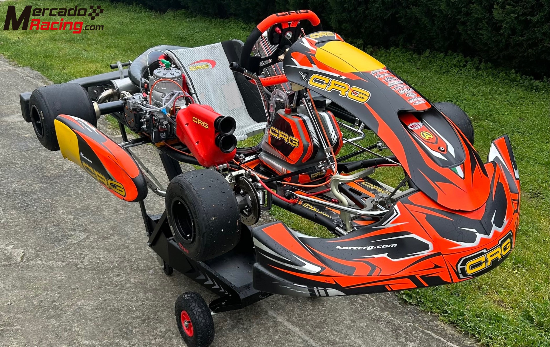 Kart crg tm r1 titán red