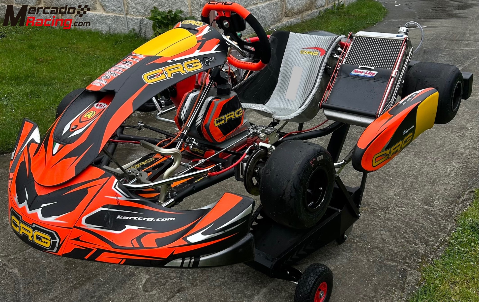 Kart crg tm r1 titán red