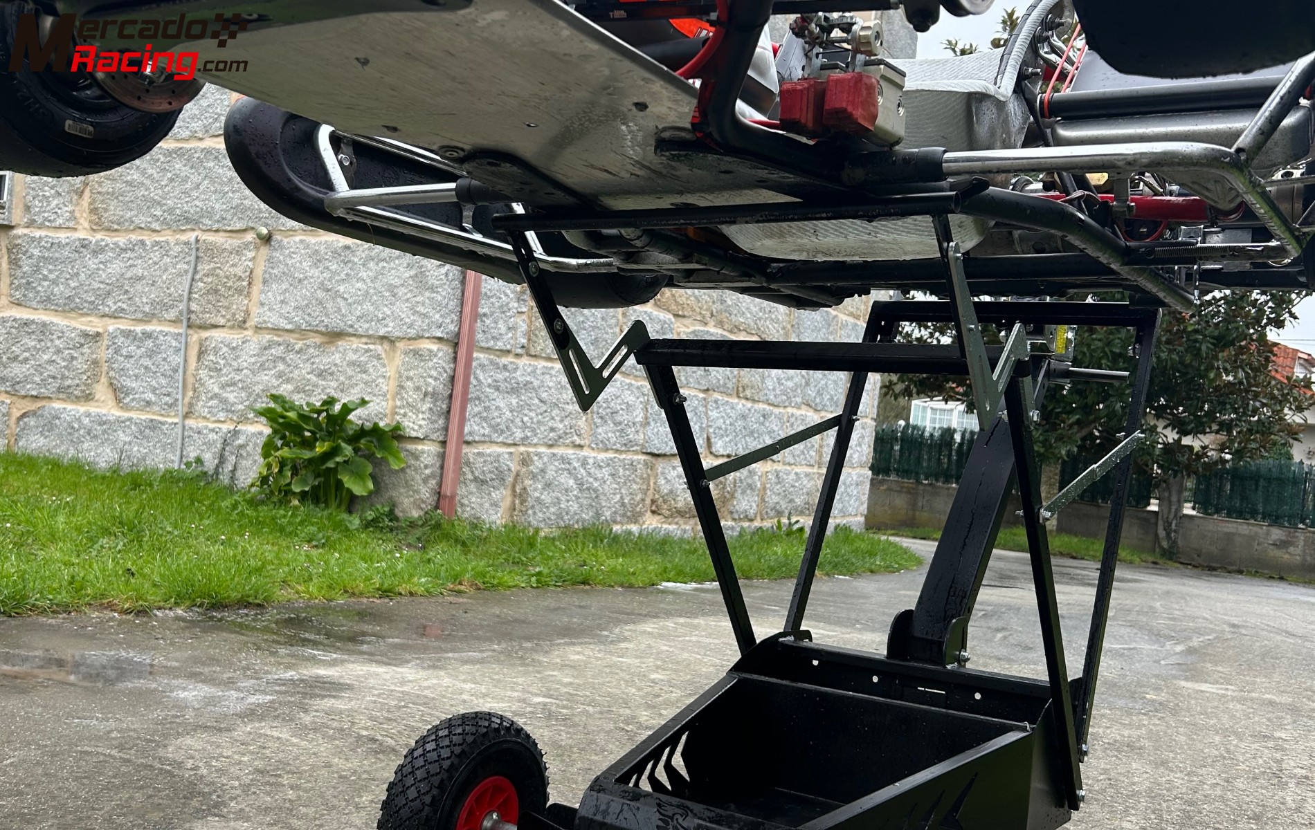 Kart crg tm r1 titán red