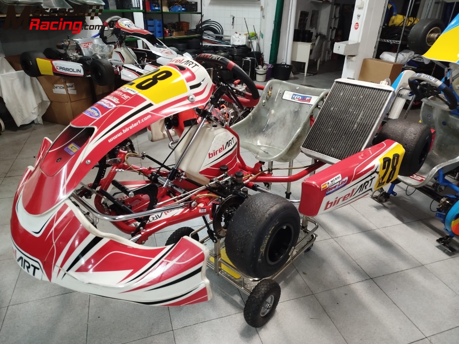 Vendo kart kz2 birel art con motor tm r1