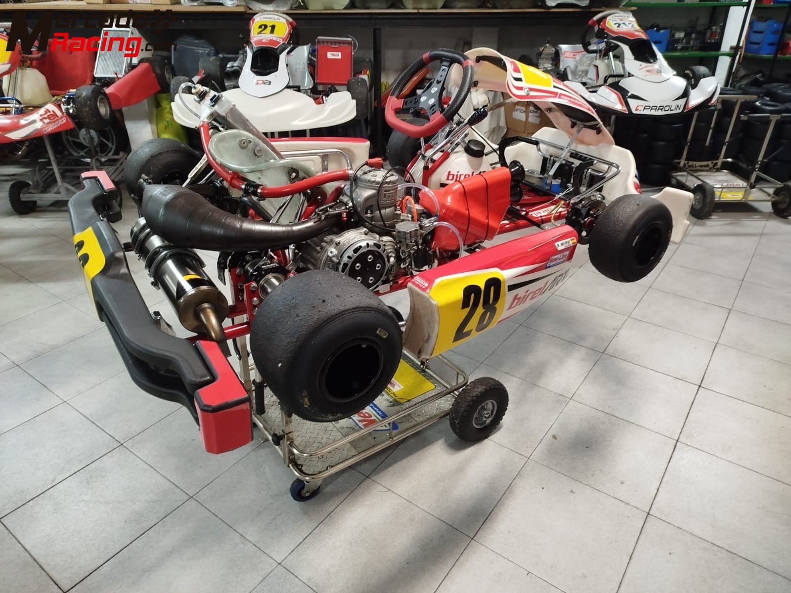 Vendo kart kz2 birel art con motor tm r1