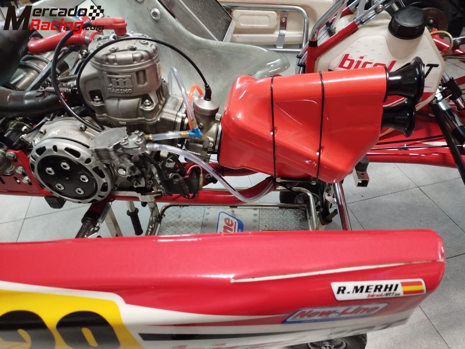 Vendo kart kz2 birel art con motor tm r1