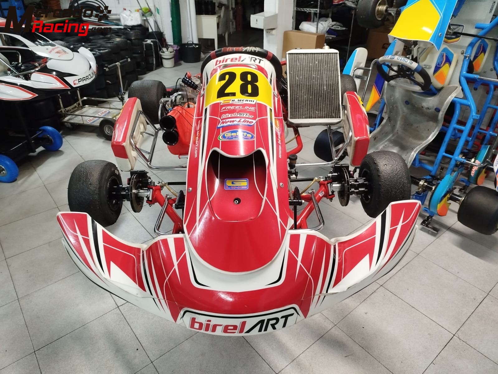 Vendo kart kz2 birel art con motor tm r1