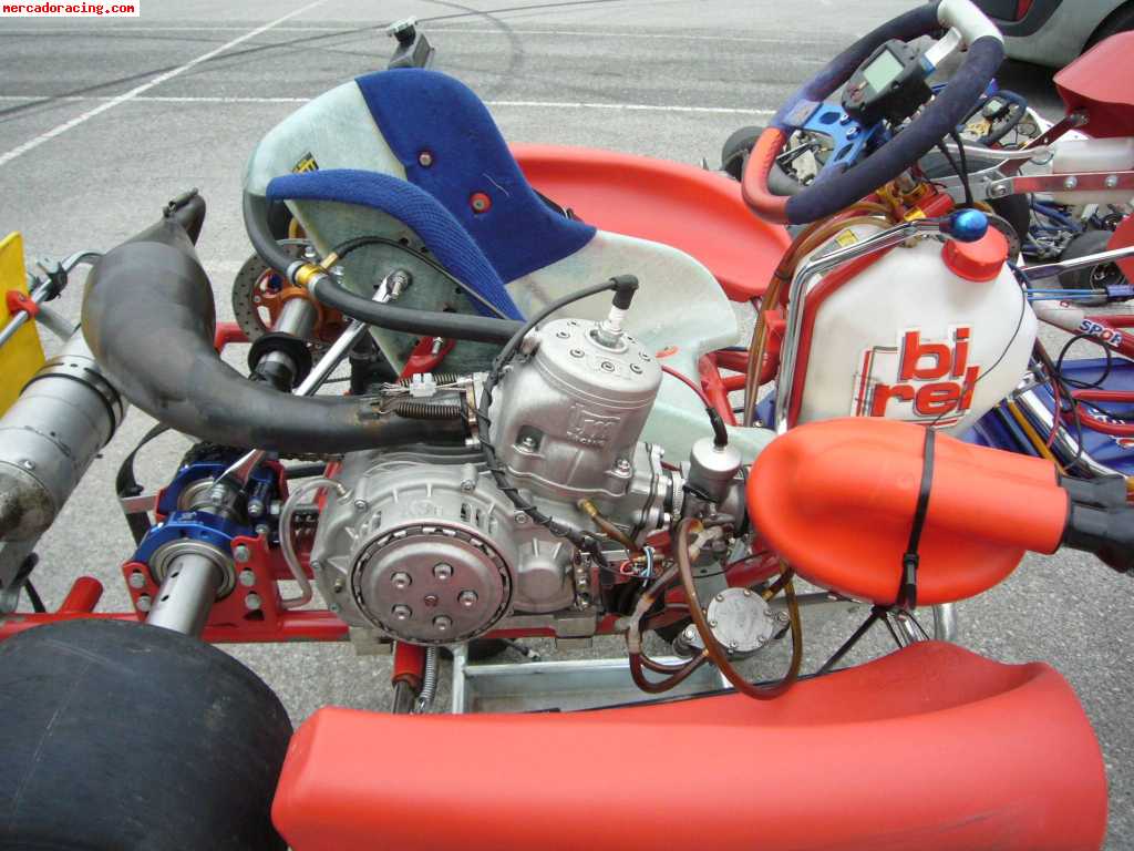 Birel 125 icc k9b