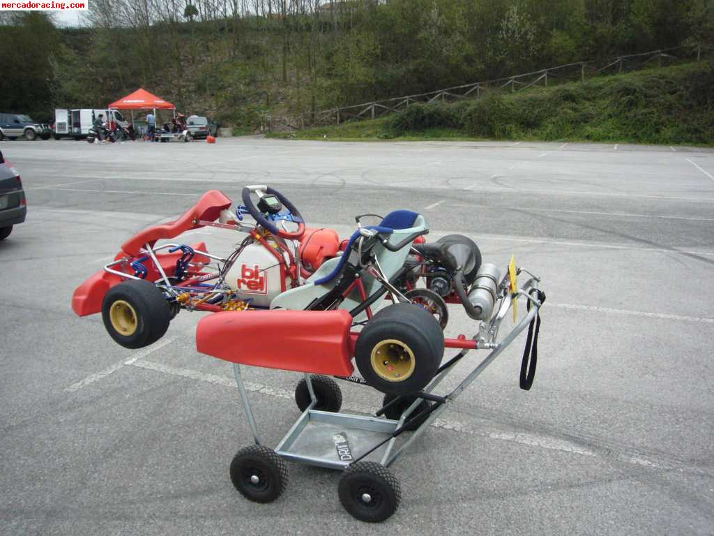 Birel 125 icc k9b