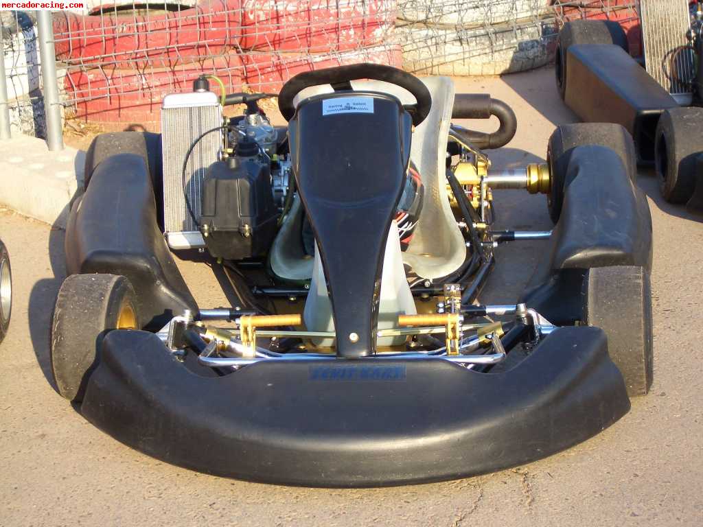 Vendo kart nuevo motor rotax max 125 chasis montjuit competi