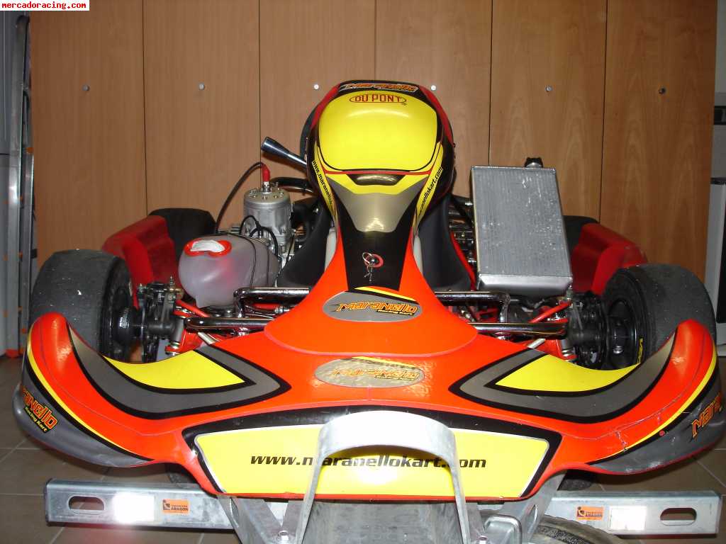 Vendo kart icc maranello con motor tm k9b finales 06