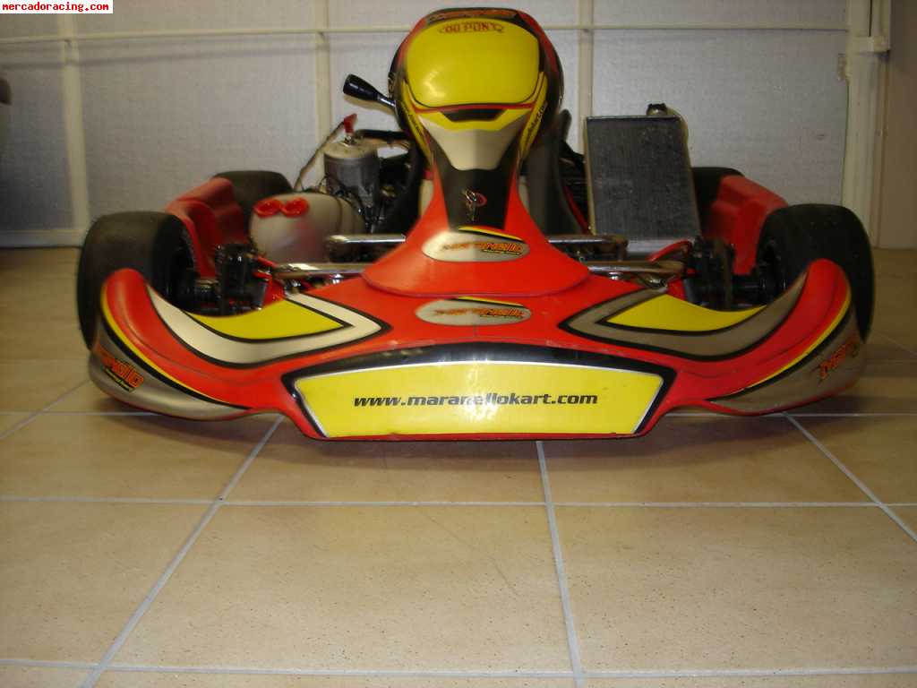 Vendo kart icc maranello con motor tm k9b finales 06