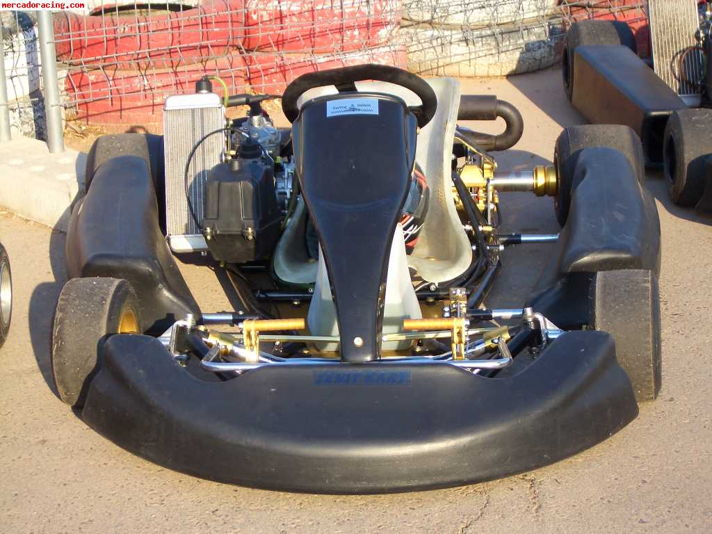 Kart crg motor rotax max nuevo sin uso