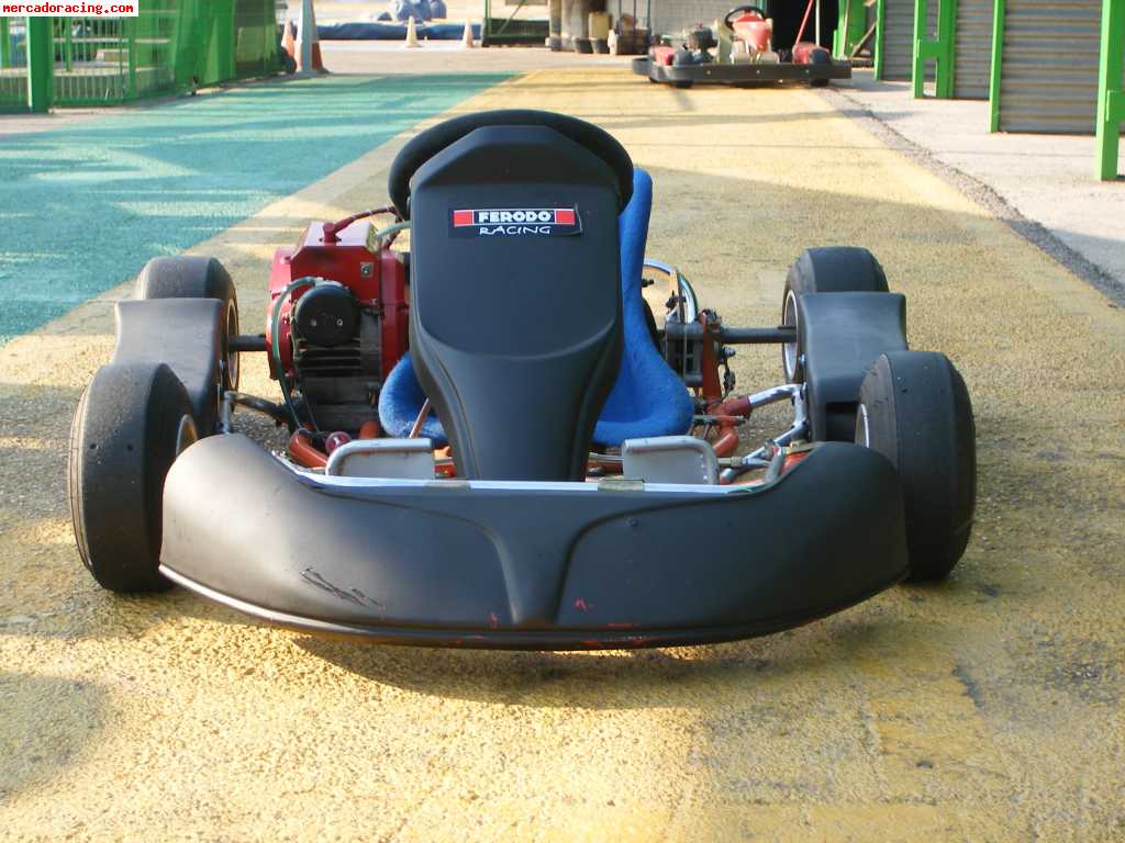 Vendo kart cadete a muy buen precio