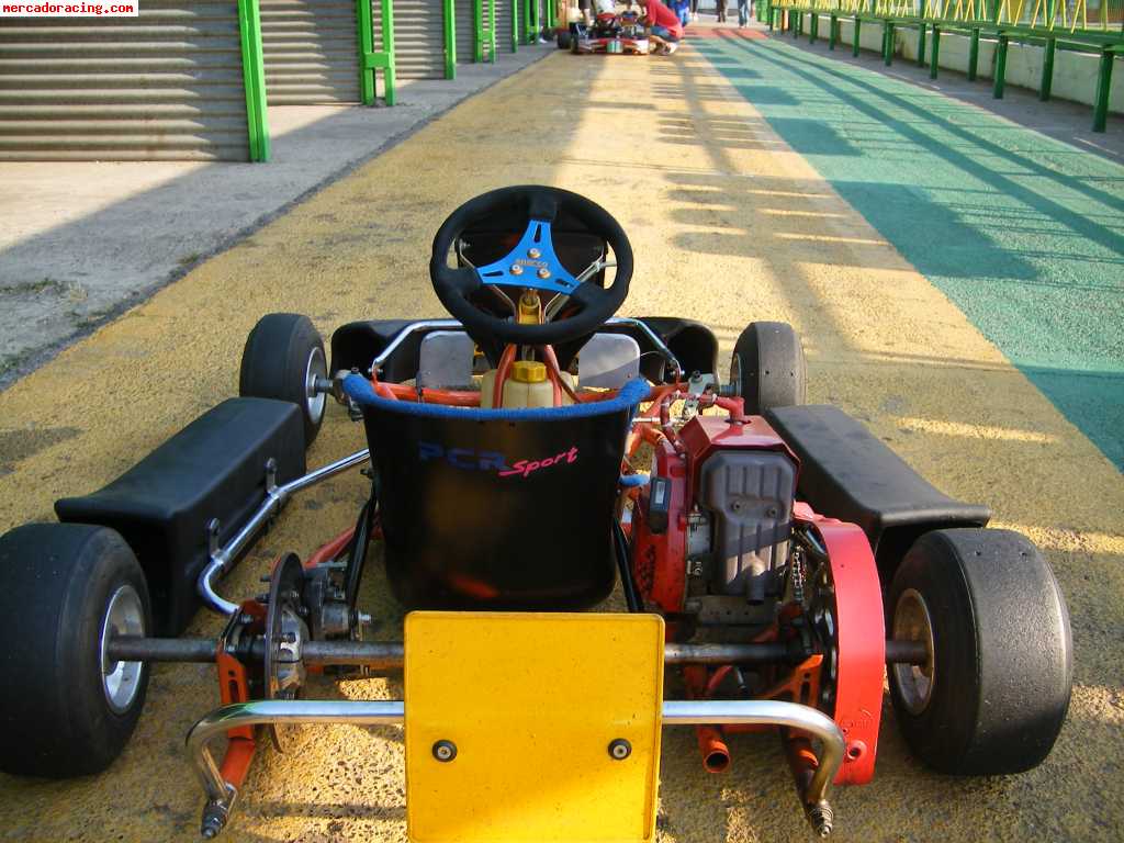 Vendo kart cadete a muy buen precio