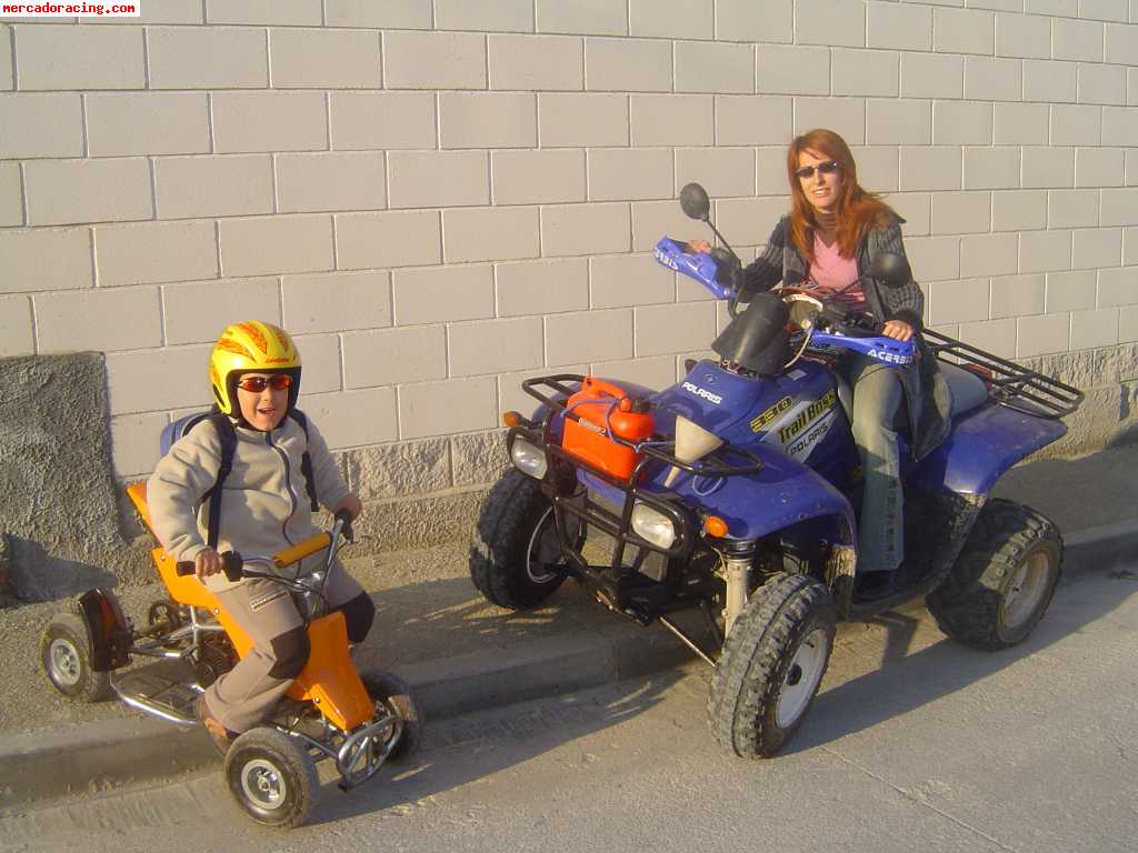 Cambio por quad o compro kart de adulto y de niño