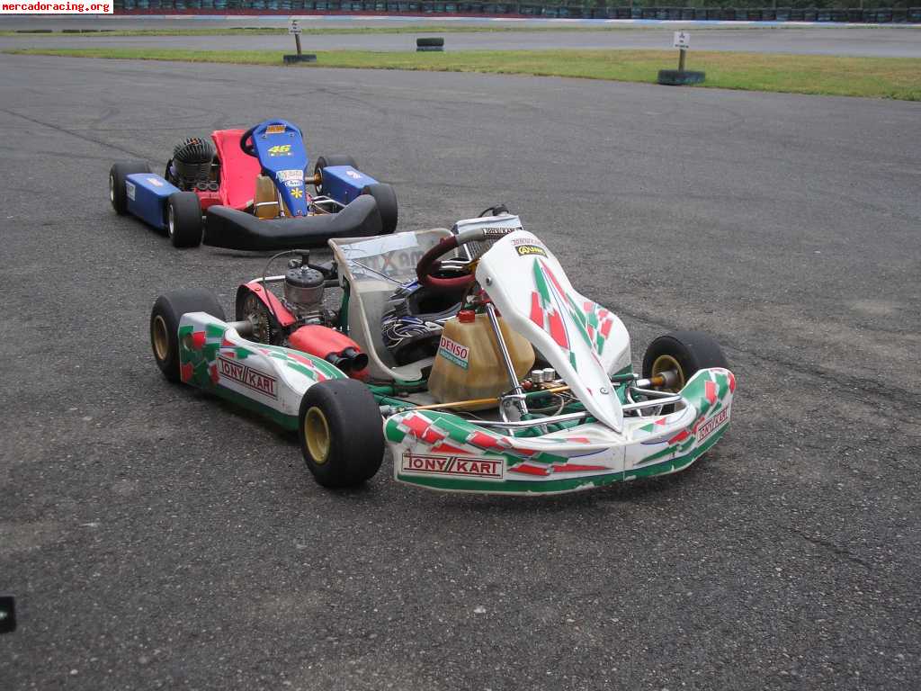 Tony kart venox inter a