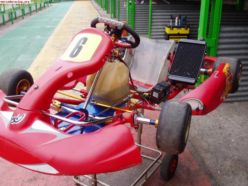 Kart chasis birel motor x30 + accesorios