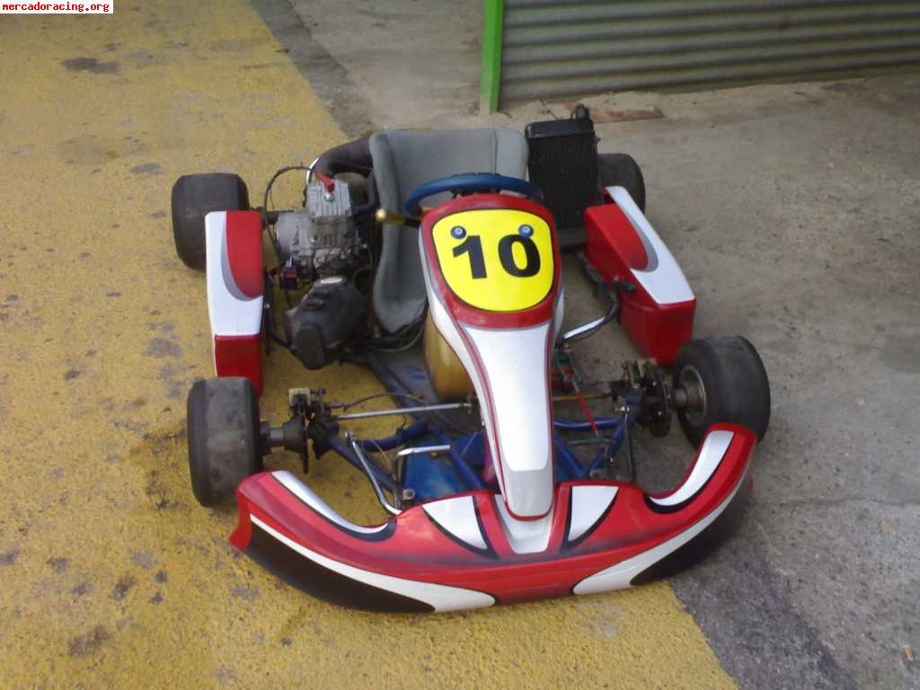 Vendo kart 125cc 6 velocidades chasis allkart buen estado