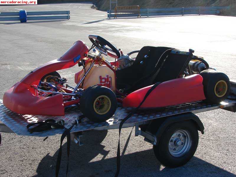 Icc 6 velocidades birel muy rápido.