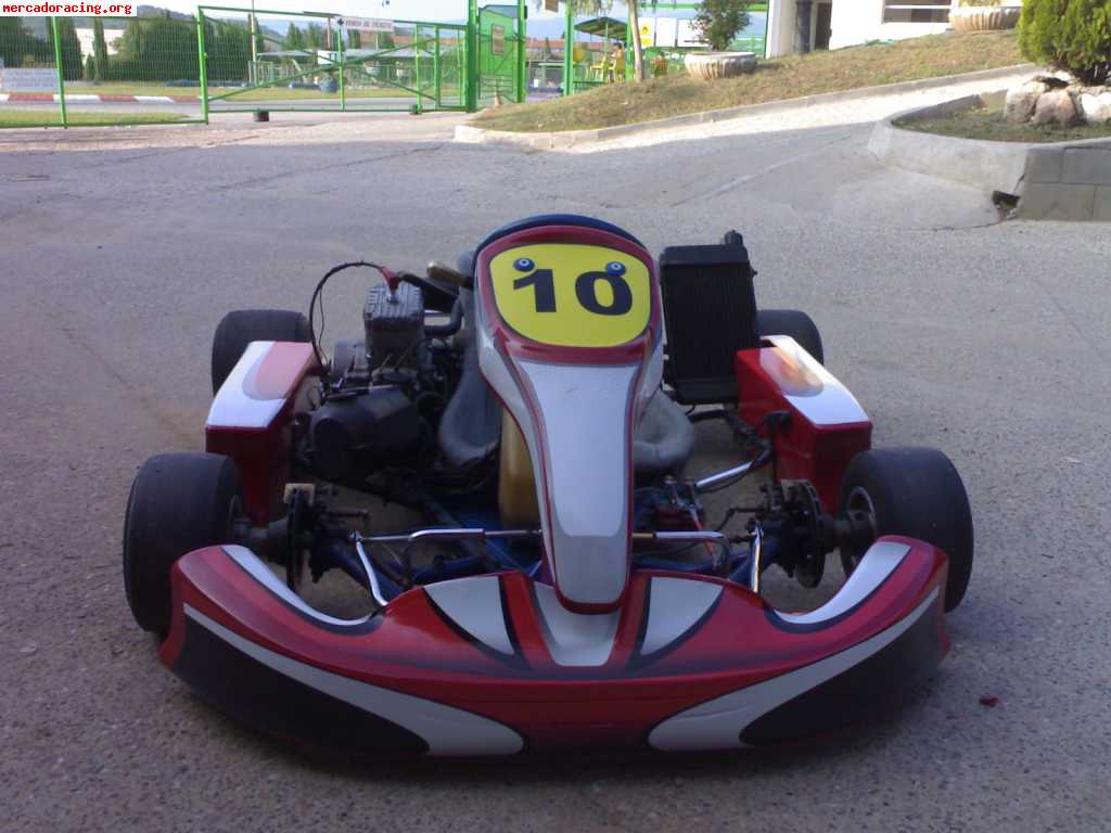 Vendo kart 125cc 6 velocidades chasis allkart buen estado