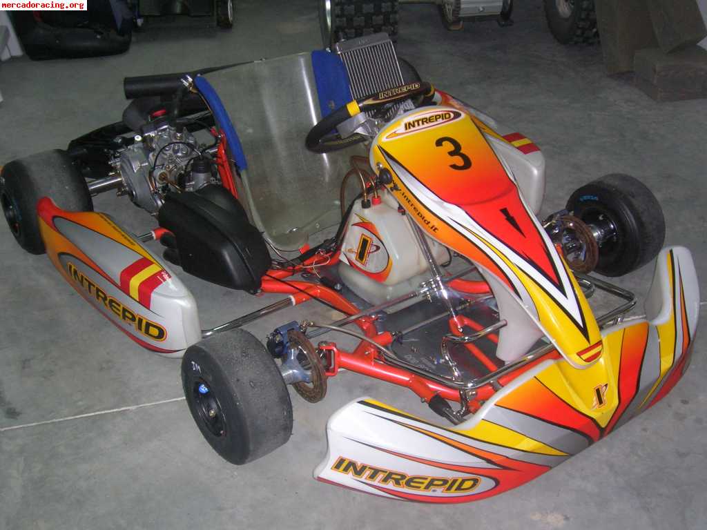 Kart intrepid,06 rotax dd2