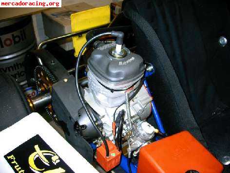 Se vende kart 125 automatico