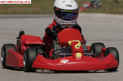 Vendo kart niño chasis birel con motor honda