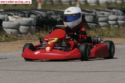 Vendo kart niño chasis birel con motor honda