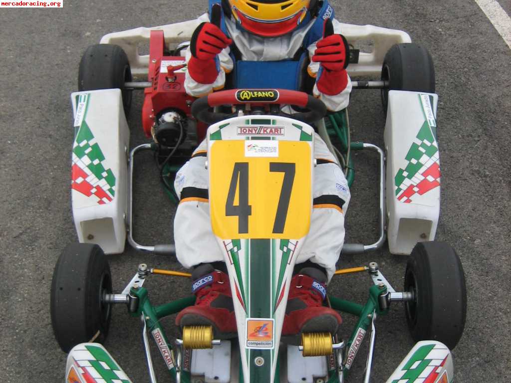 Vendo tony kart categoria alevin con 2 motores comer w-80 y