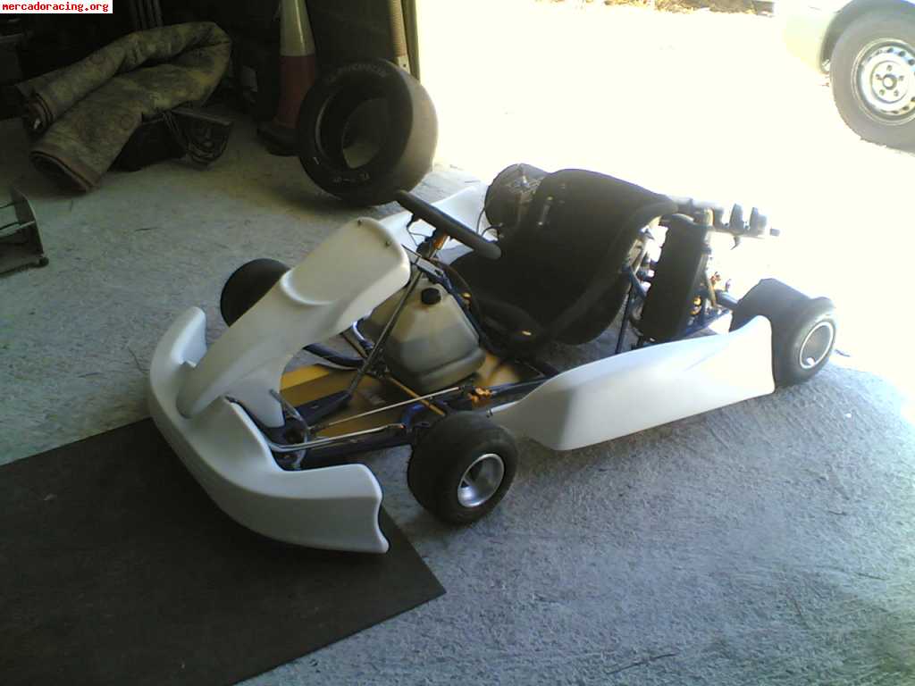 Kart 125 mike wilson 1900€