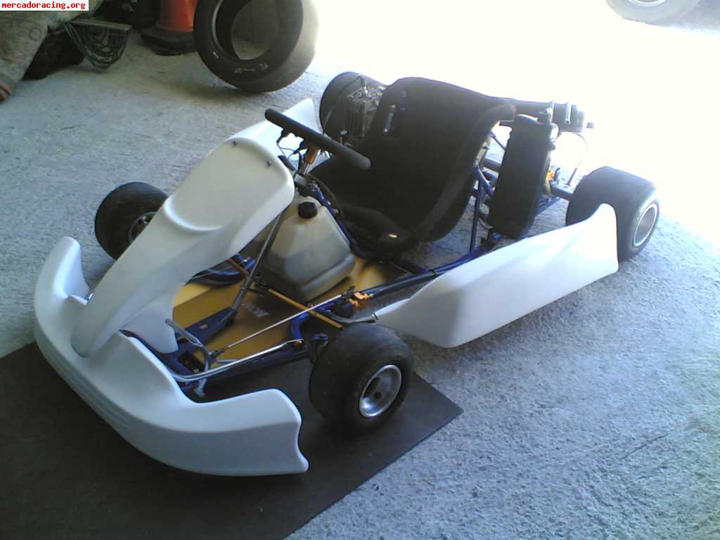 Kart 125 mike wilson 1900€