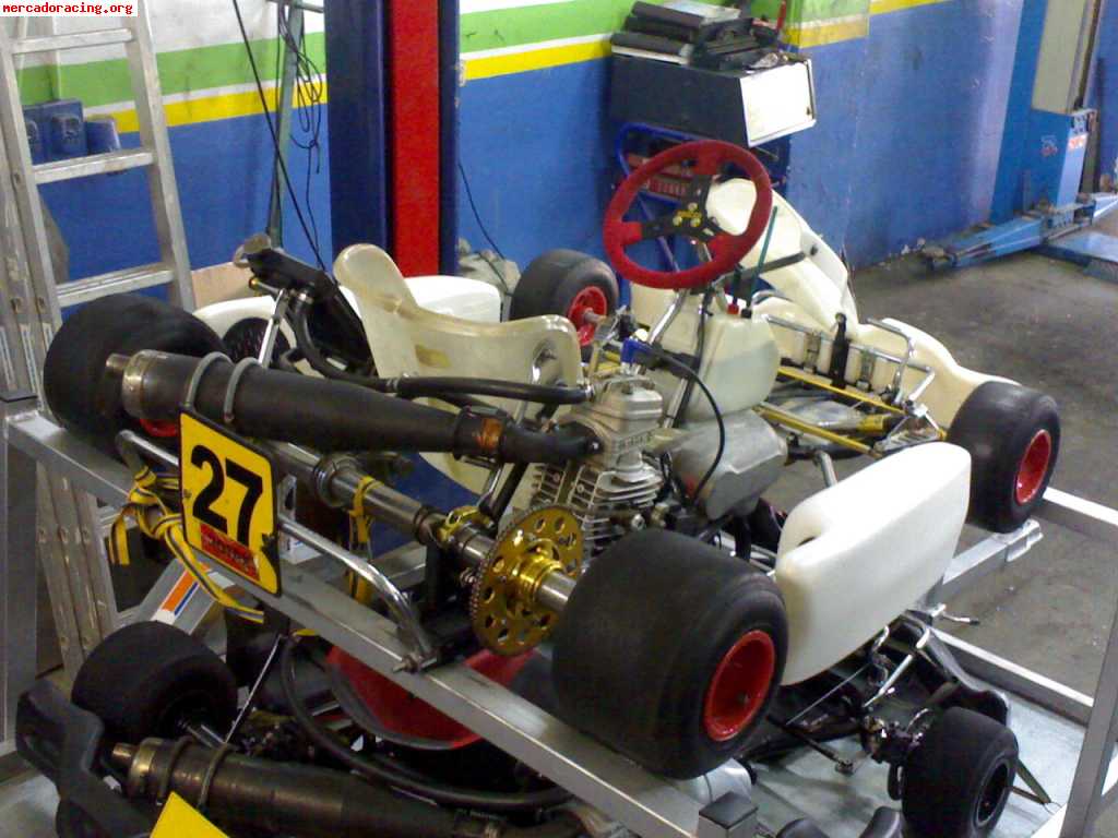 Vendo egarakart con iame reedjet 100 del año 2005 1600 euros