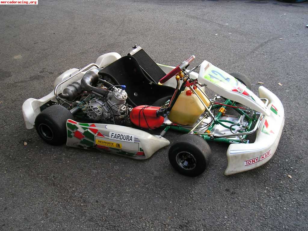 Vendo tony kart 125cc 6v