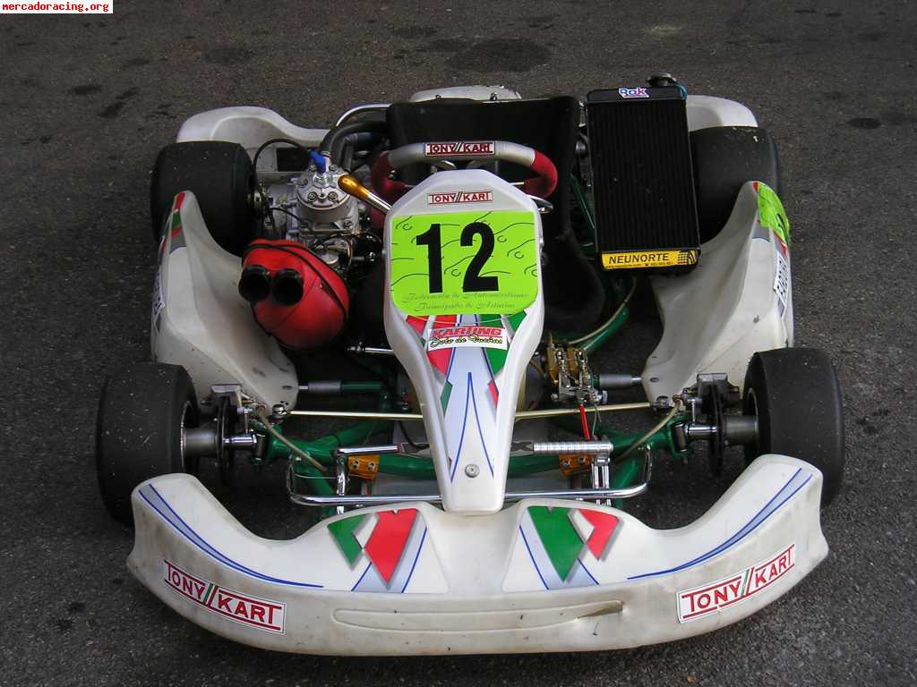 Vendo tony kart 125cc 6v