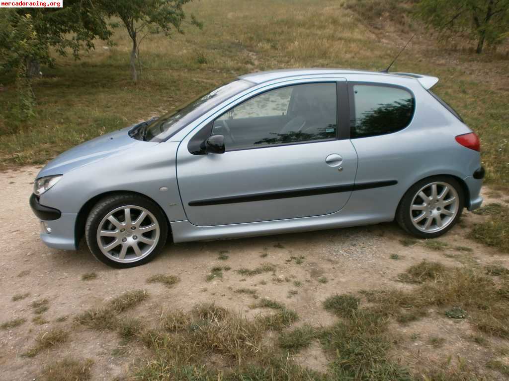 206 gti(3200e)