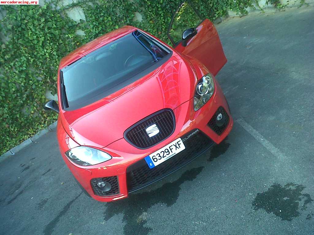 Leon cupra 2 