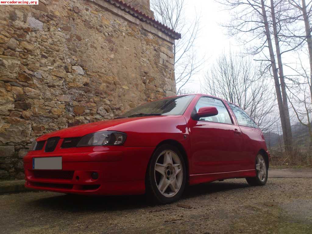 Seat ibiza tdi 110