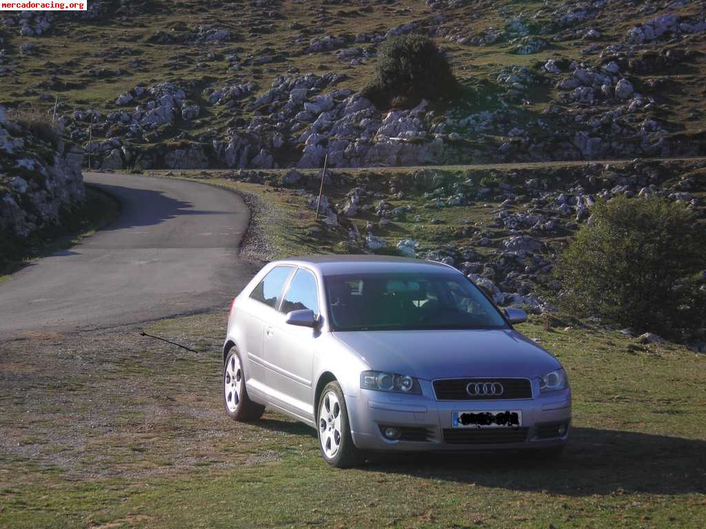Audi a3 tdi año 2004