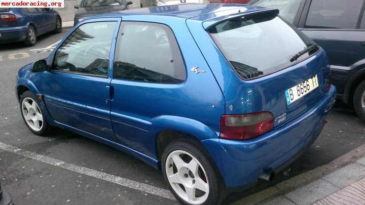 Saxo faseii 1700€