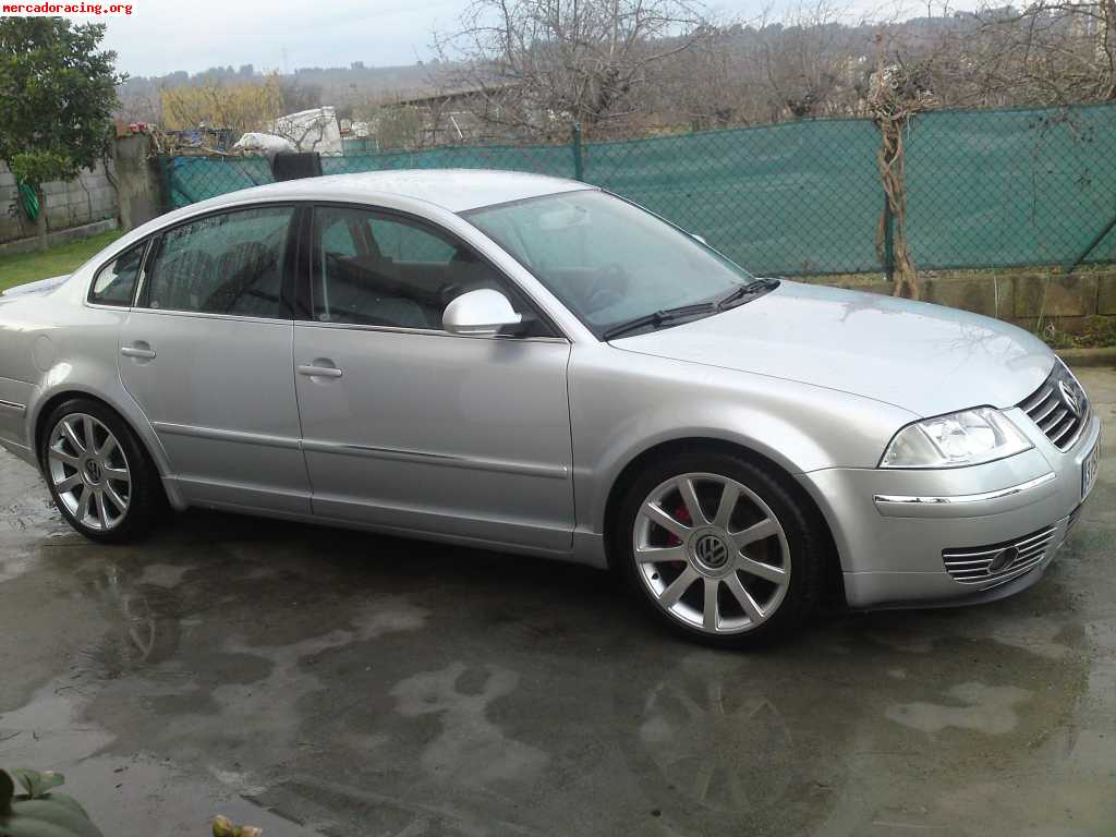 Passat 6000e