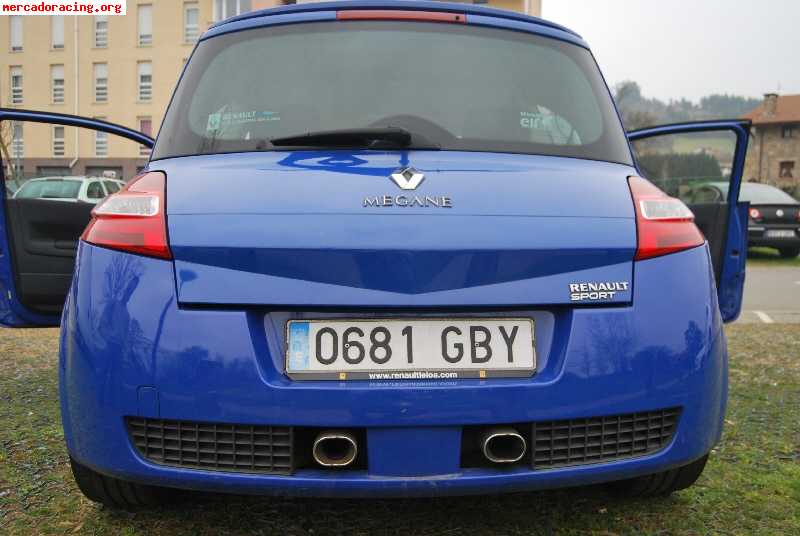 Renault megane sport chasis cup