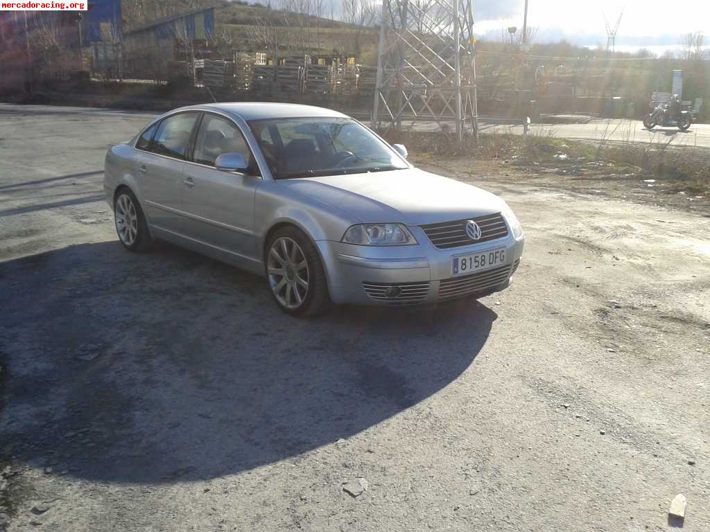 Passat 6000e