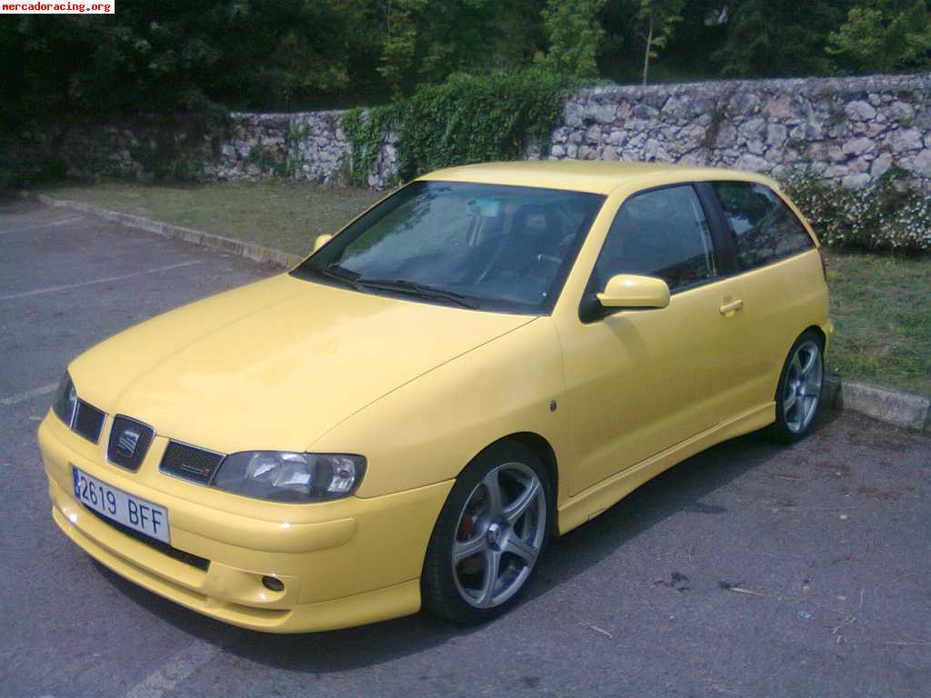Seat ibiza cupra 2001